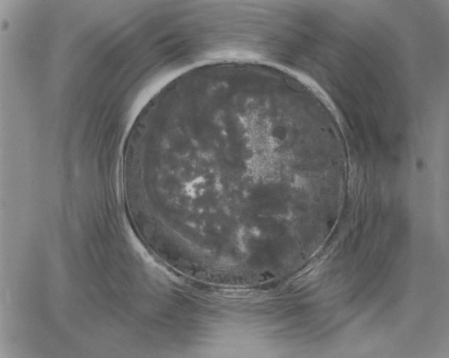 X0000064721295200602171606