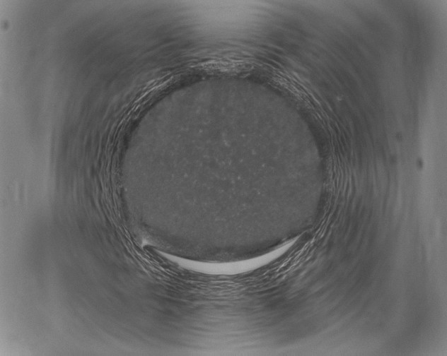 X0000064721297200602171605