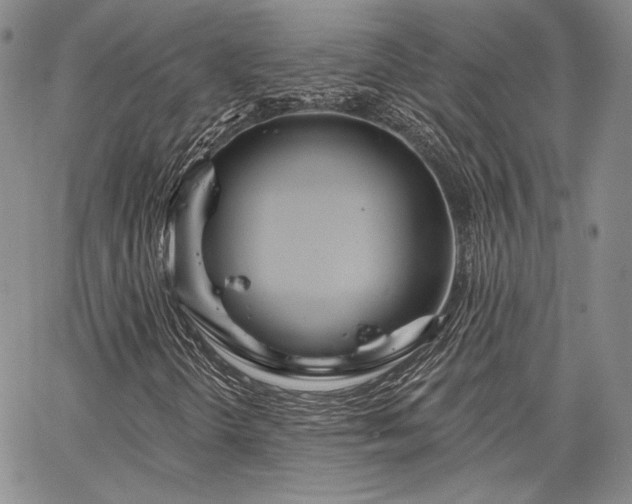 X0000064721298200602171605