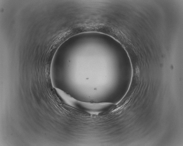 X0000064721300200602171606