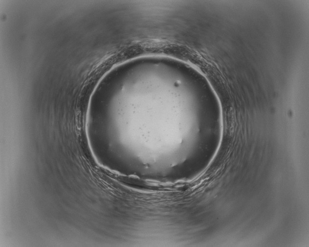 X0000064721301200602171606