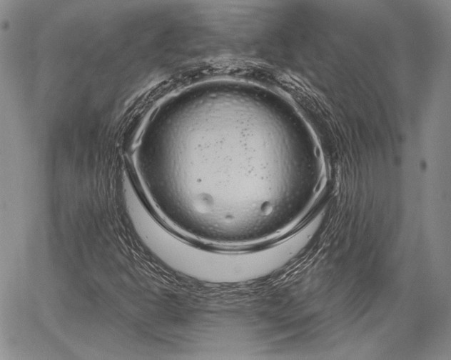 X0000064721302200602171606