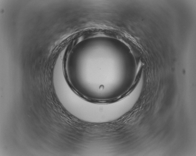 X0000064721303200602171606