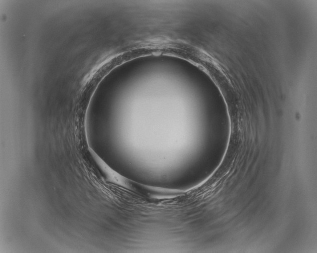 X0000064721304200602171606