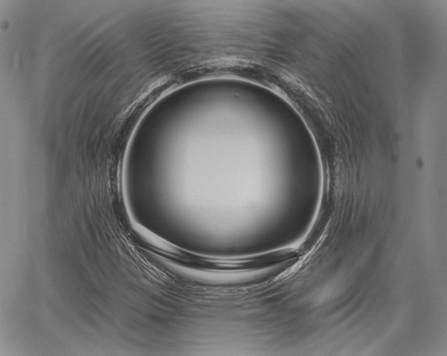 X0000064721305200602171606