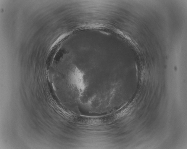 X0000064721306200602171606