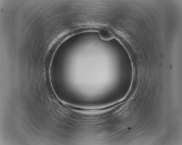 X0000064721307200602171606