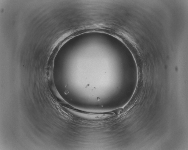 X0000064721308200602171606