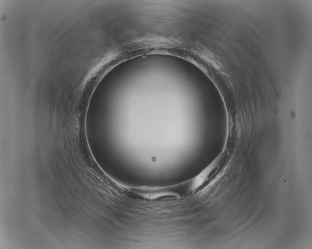 X0000064721309200602171606