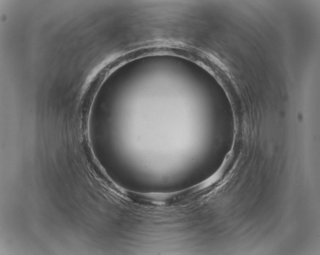 X0000064721310200602171606