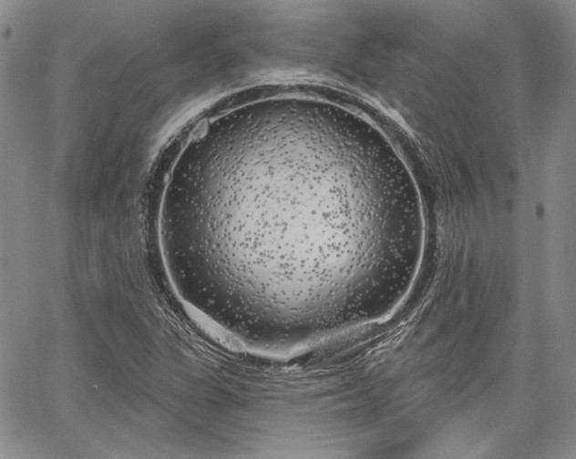 X0000064721311200602171606