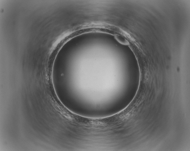 X0000064721312200602171606