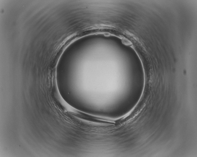 X0000064721313200602171606