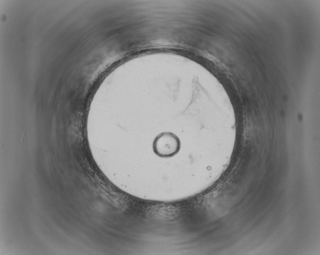 X0000064721314200602171606