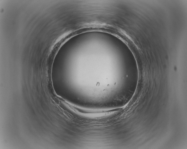 X0000064721315200602171606