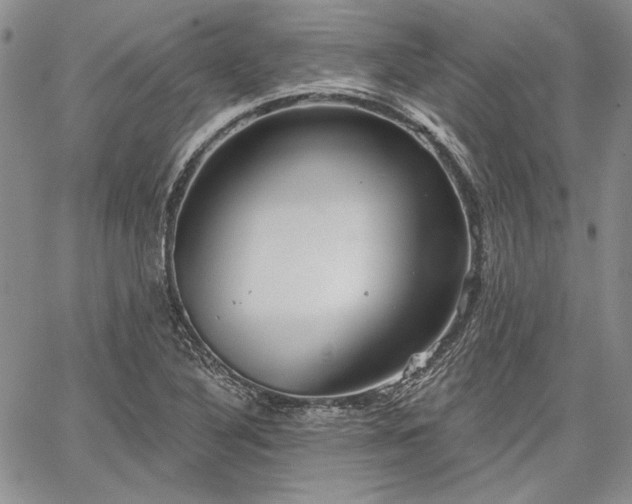 X0000064721316200602171606