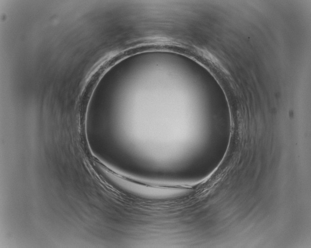 X0000064721318200602171606