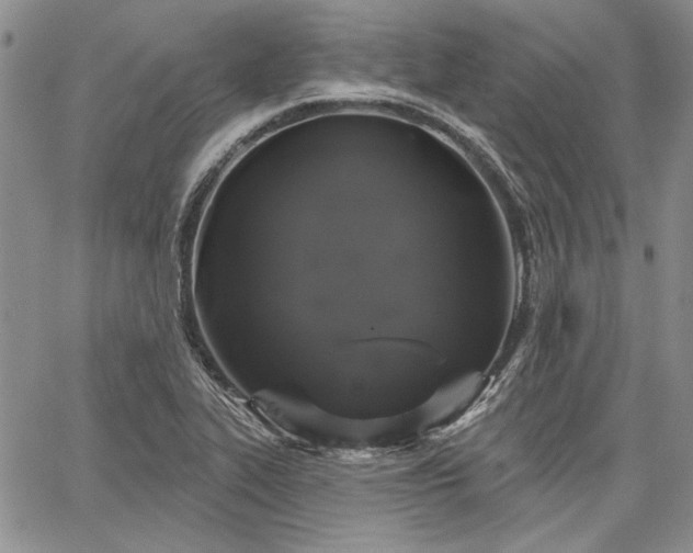 X0000064721319200602171606