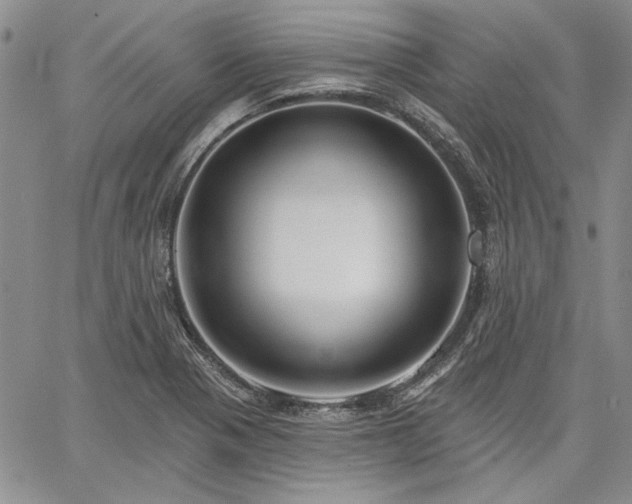 X0000064721321200602171606