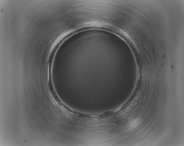 X0000064721323200602171606