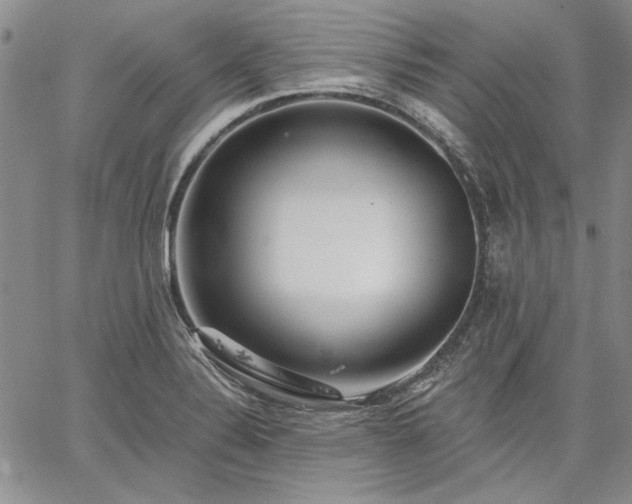 X0000064721324200602171606