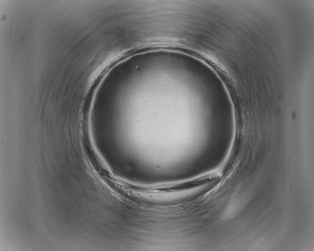 X0000064721325200602171606