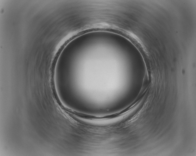 X0000064721326200602171606