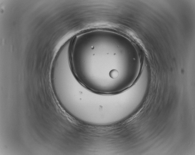 X0000064721328200602171606