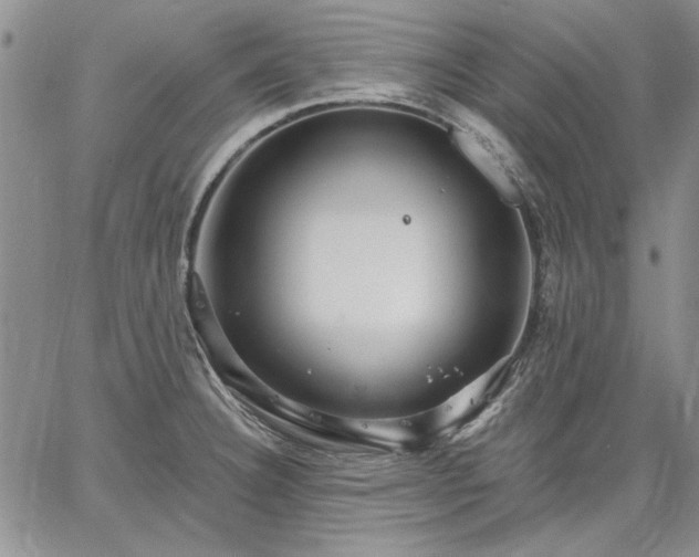 X0000064721332200602171606