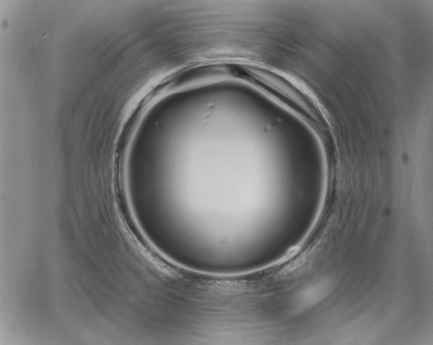 X0000064721333200602171606