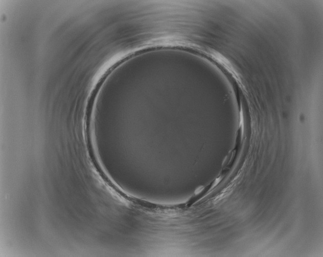 X0000064721334200602171606