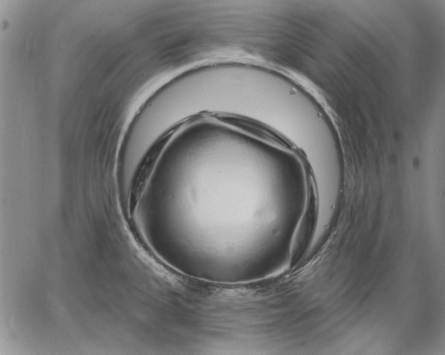 X0000064721335200602171606