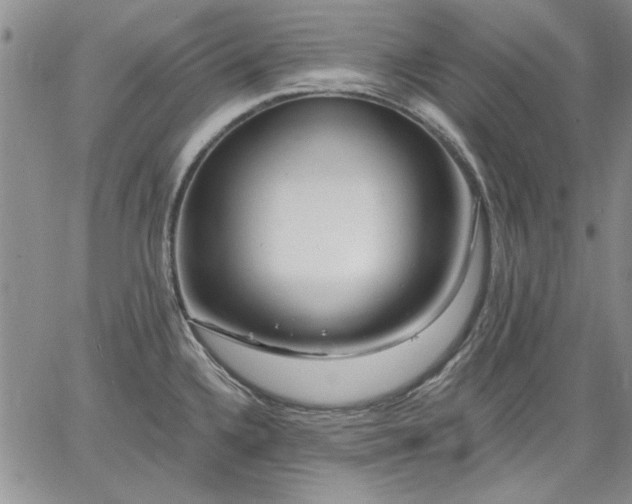 X0000064721336200602171606