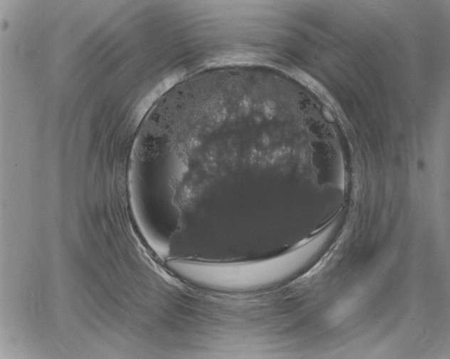 X0000064721337200602171606