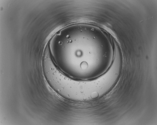 X0000064721338200602171606