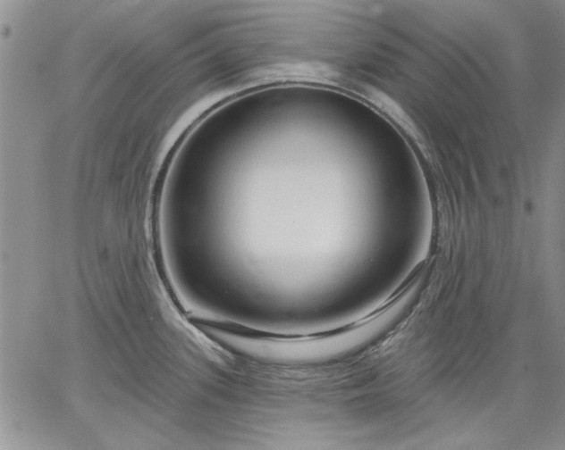 X0000064721339200602171606