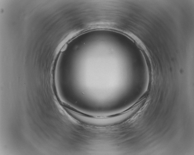 X0000064721341200602171606