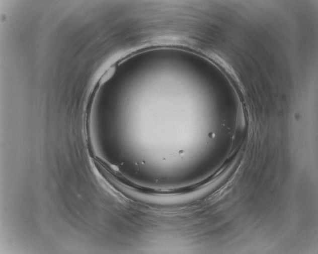 X0000064721342200602171606