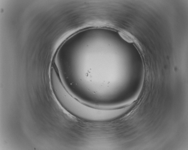 X0000064721343200602171606