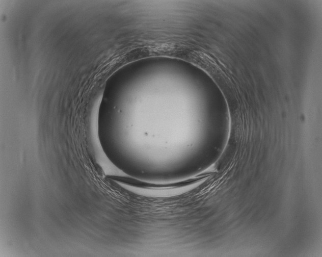 X0000064721345200602171605