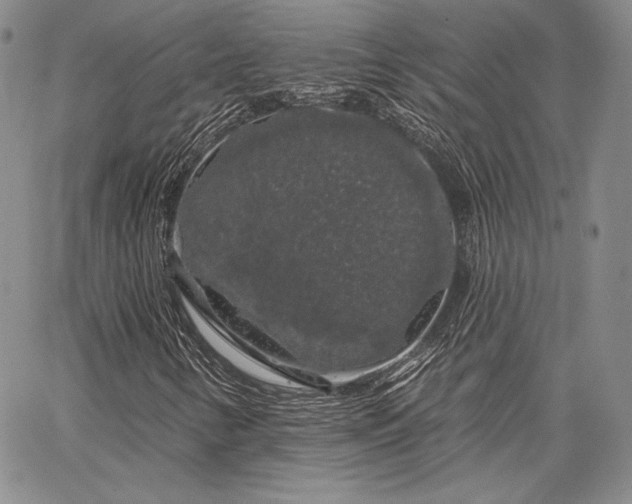 X0000064721346200602171605