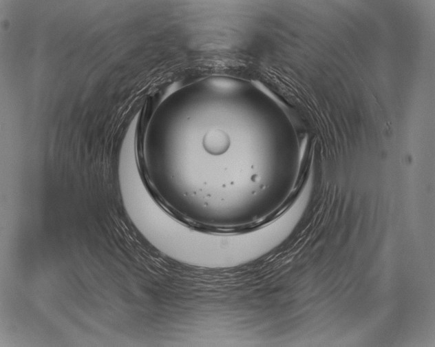 X0000064721347200602171605