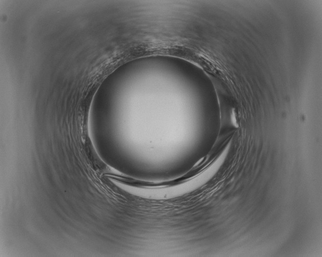 X0000064721348200602171605