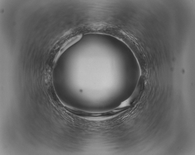 X0000064721349200602171605