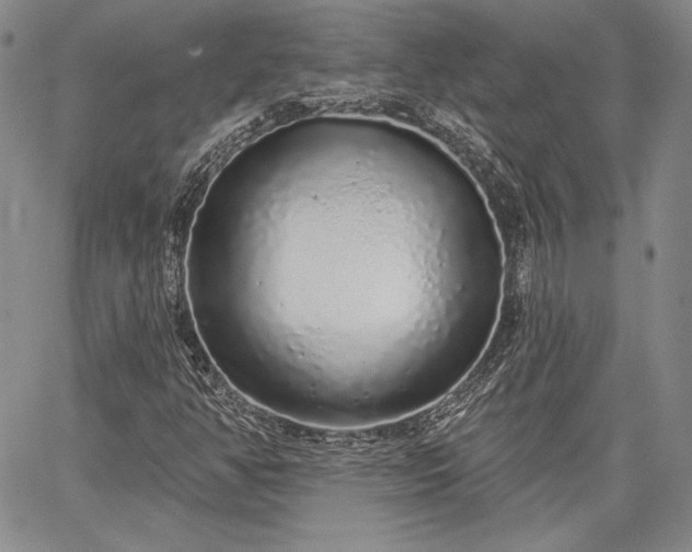 X0000064721350200602171605