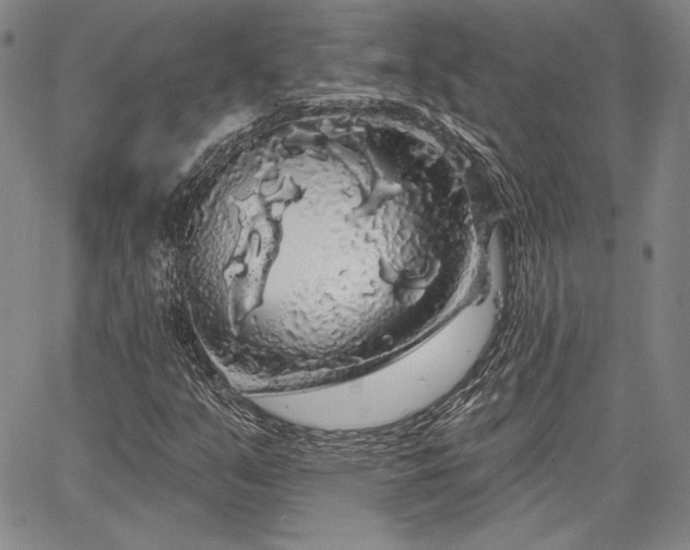 X0000064721351200602171605