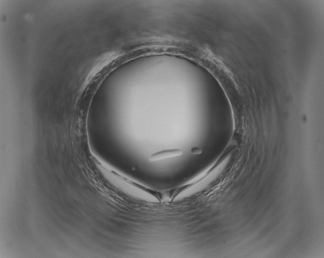 X0000064721352200602171605