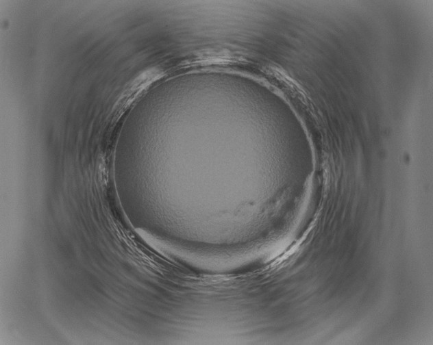 X0000064721353200602171605