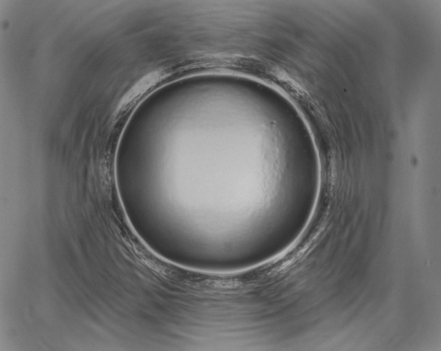 X0000064721354200602171605