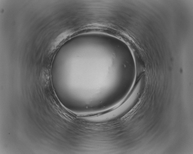 X0000064721355200602171605